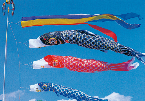 鯉のぼり